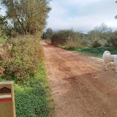 B&B Entrecolinas Paderne  Luaran gambar