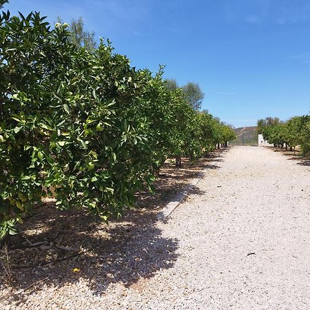 B&B Entrecolinas Paderne  Luaran gambar