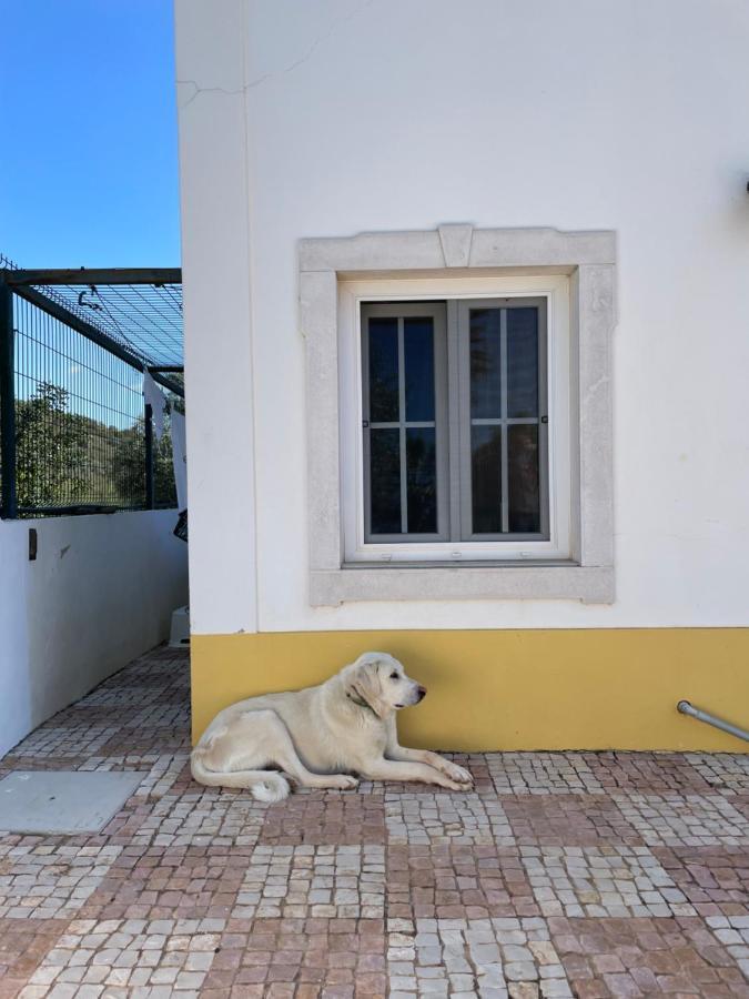 B&B Entrecolinas Paderne  Luaran gambar