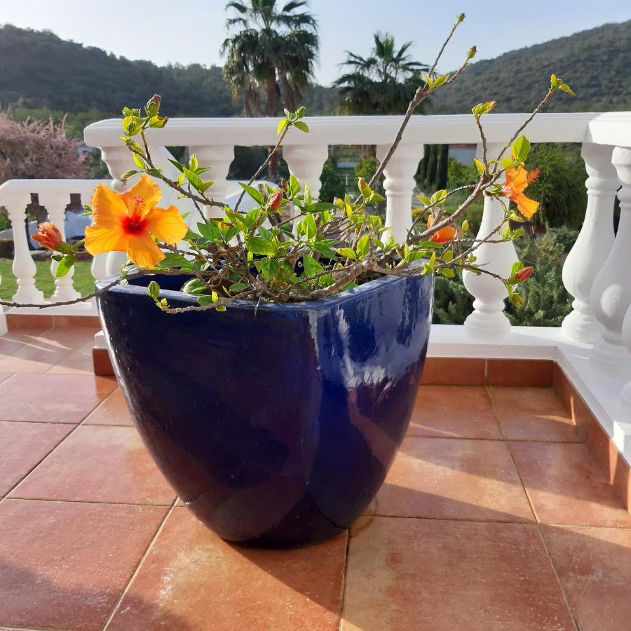 B&B Entrecolinas Paderne  Luaran gambar
